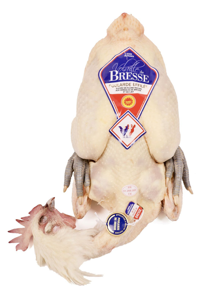 Poularde de Bresse AOP