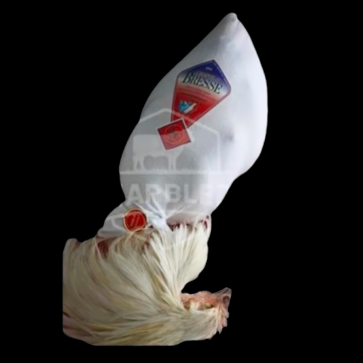 Chapon de Bresse Roulé AOP ±4kg