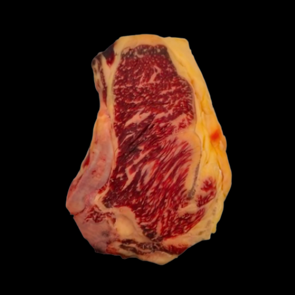 L-Bone de Bœuf Rubia Gallega Reserve - Maturation 35 Jours